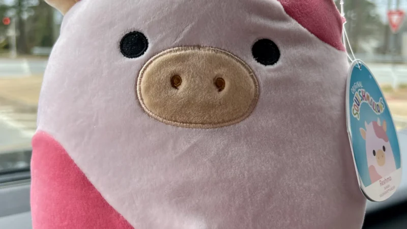 The Adorable Pink Cow Squishmallow