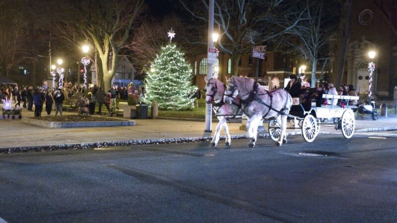 Naugatuck Tree Lighting