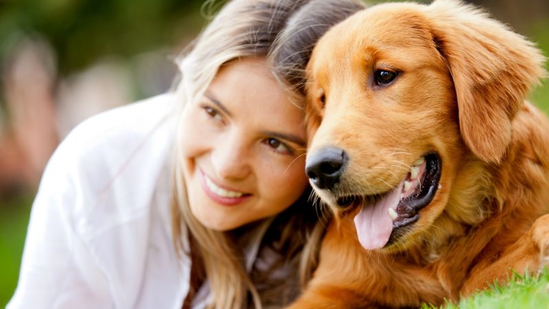 : Understanding Canine Reproduction: How Often Do Dogs Mate During Heat?