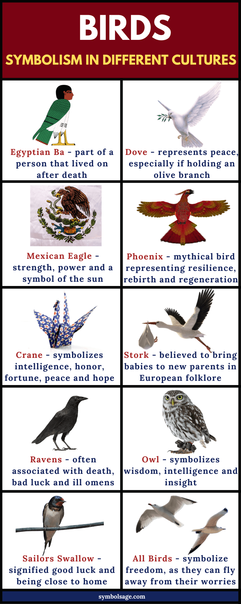 Meaning Of The Birds