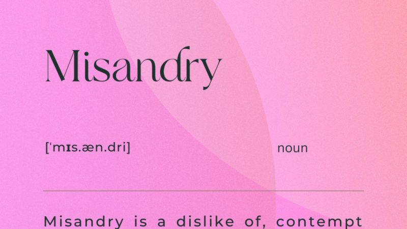 Misandry