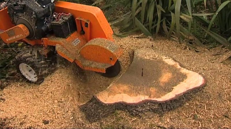 Stump Grinder