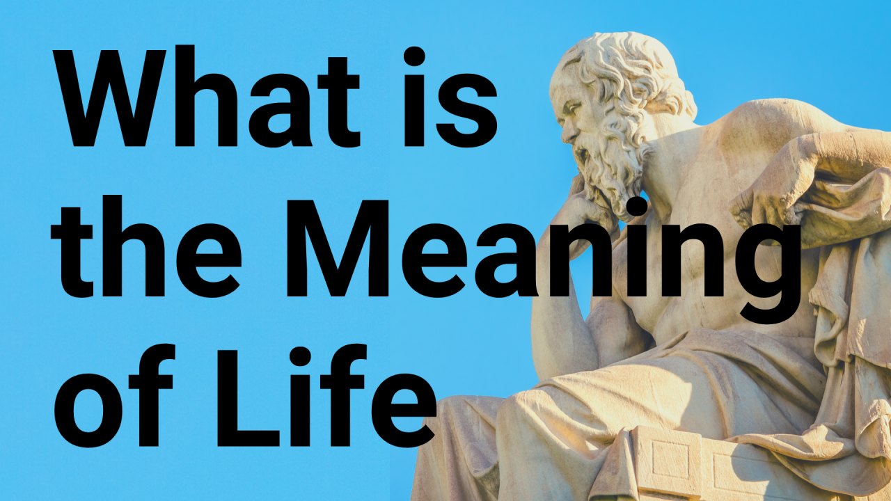 What Is The Meaning Of Life