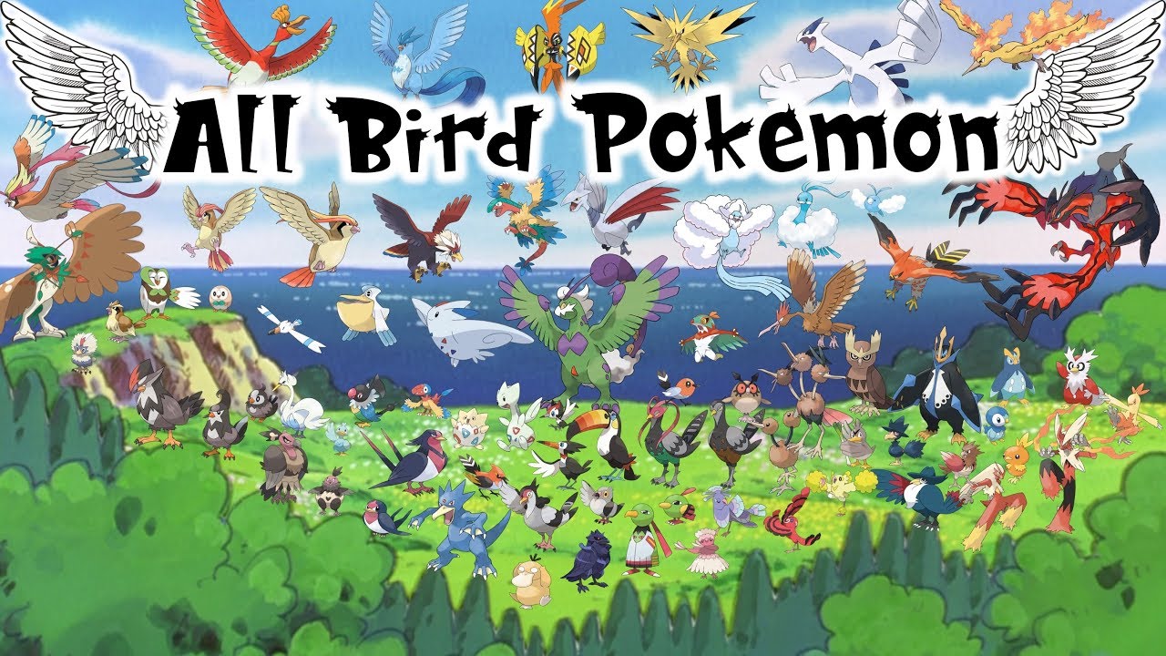 Pokémon Birds