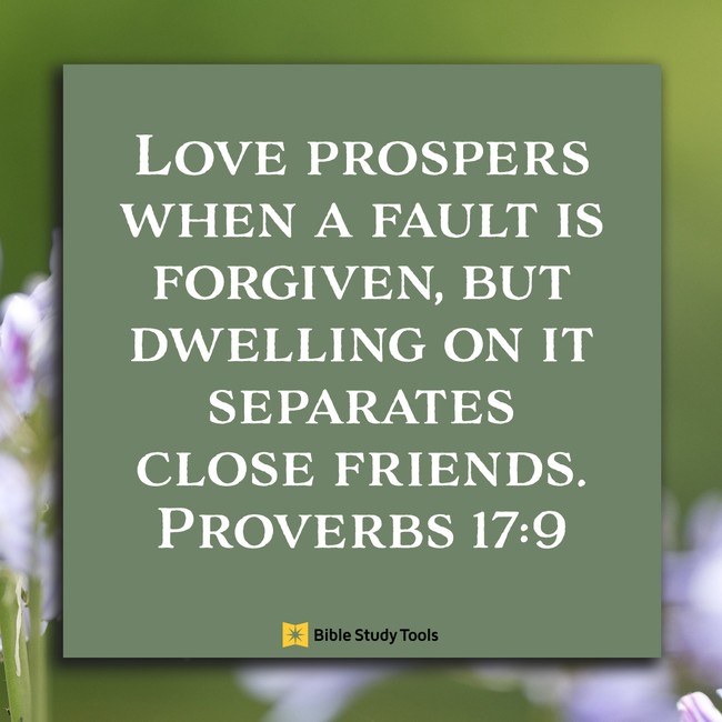 Proverbs 17 9