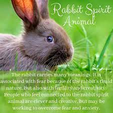 Rabbit Spiritual Meaning