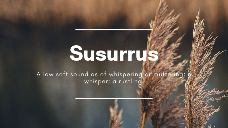 Susurrus