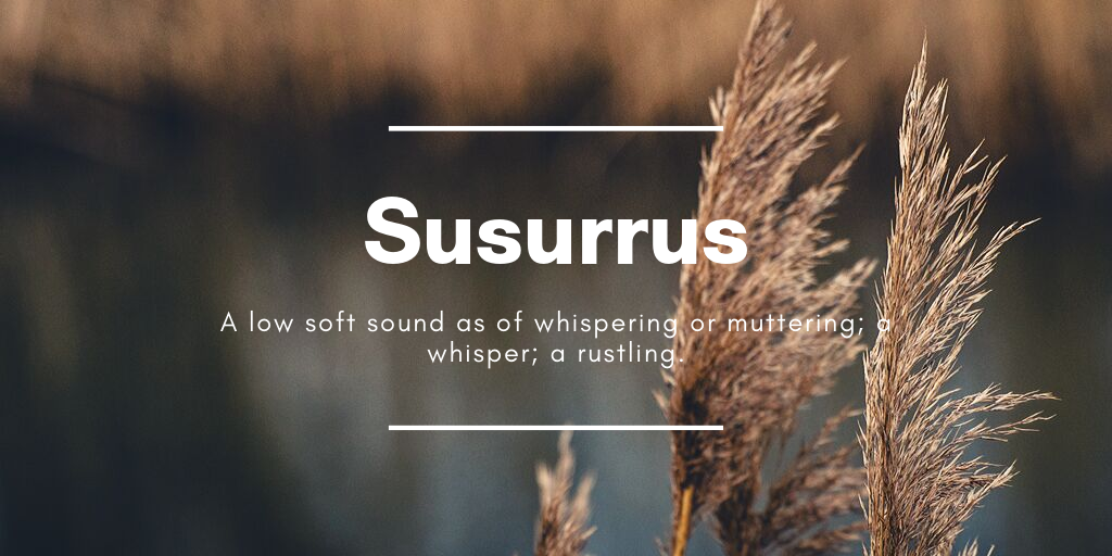 Susurrus