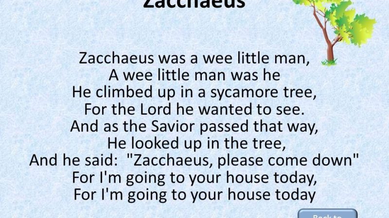 The Zacchaeus Song