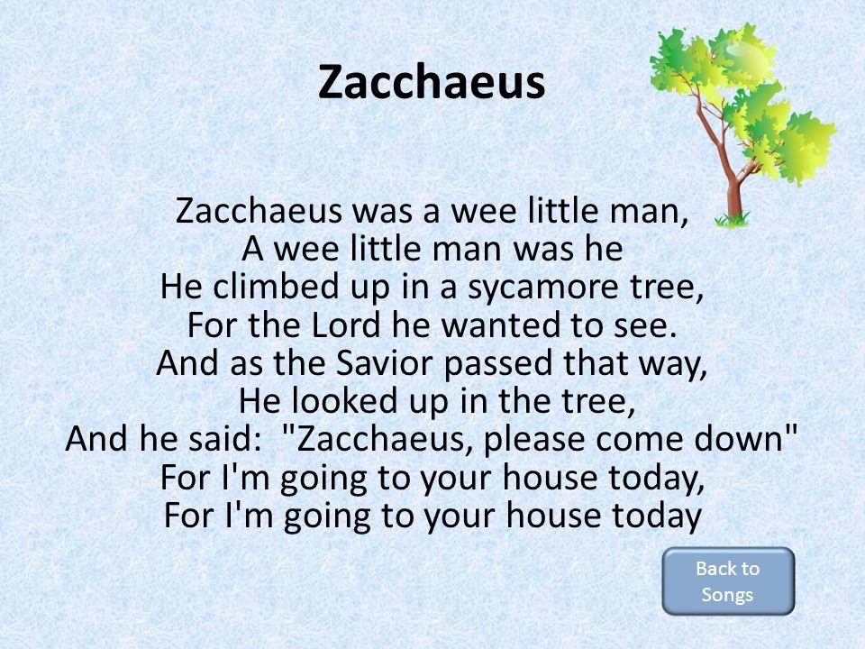 The Zacchaeus Song