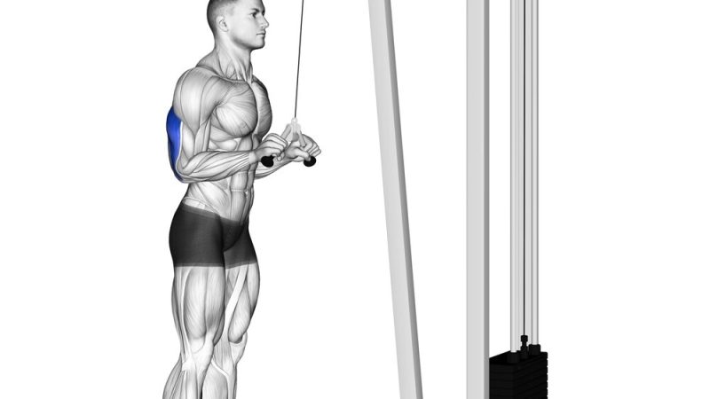 Triceps Pushdown