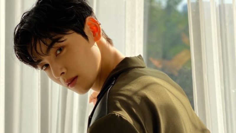 Cha Eun-woo: The Ideal Man or the Ideal Image?