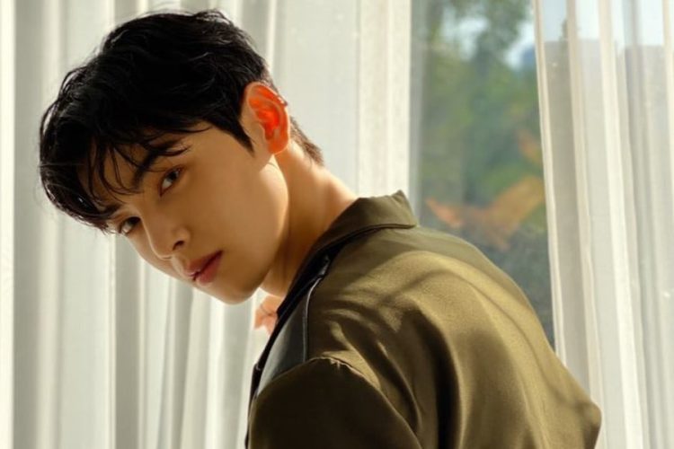 Cha Eun-woo: The Ideal Man or the Ideal Image?