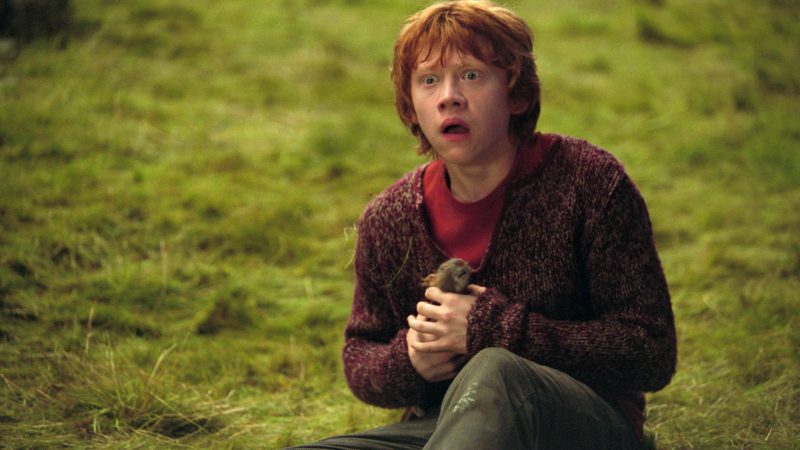 Ron Weasley: The Heart and Soul of the Wizarding World