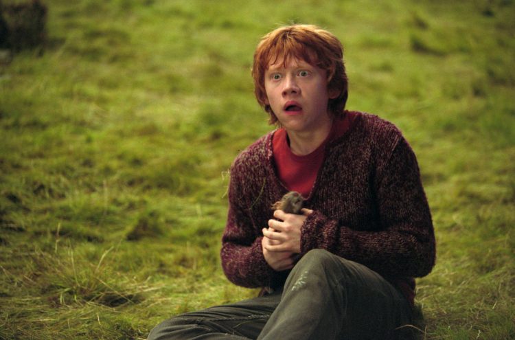 Ron Weasley: The Heart and Soul of the Wizarding World