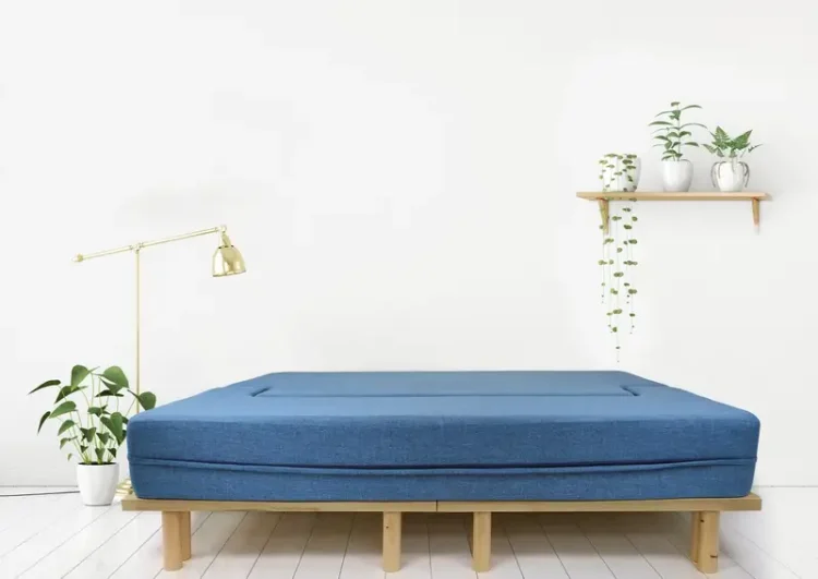 The Couchbed: A Versatile Solution for Modern Living